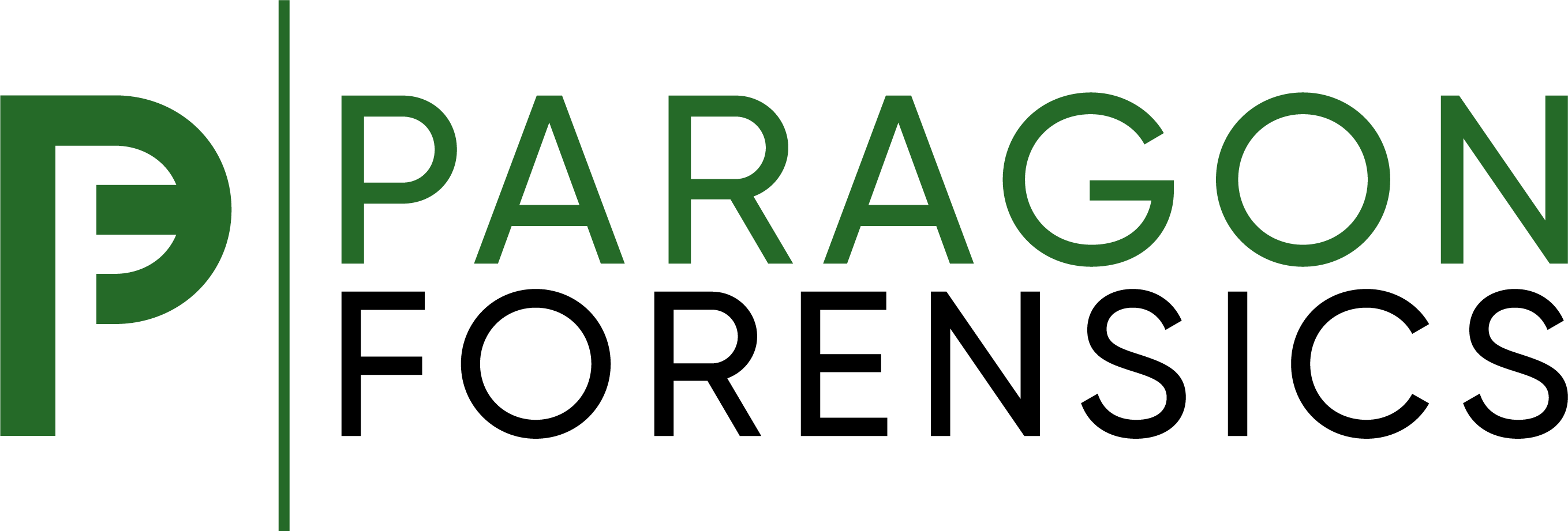 Paragon Forensics